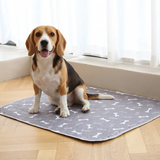 Pet Is Family Potty Pad engels