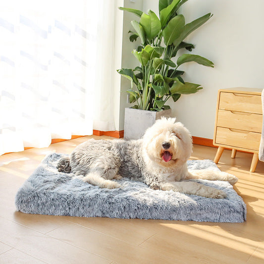 Pet Is Family Coussin Orthopédique