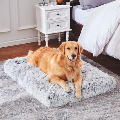Pet Is Family Coussin Orthopédique