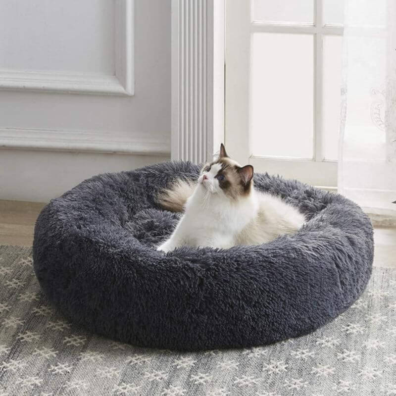 Pet Is Family Lit Orthopédique Chat