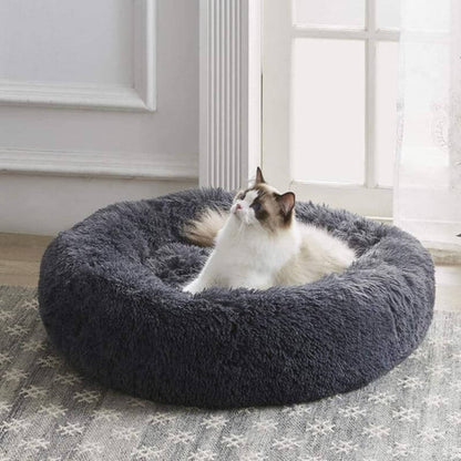 Pet Is Family Lit Orthopédique Chat