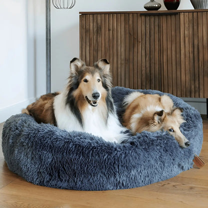 Pet Is Family Lit à Soutien Orthopédique