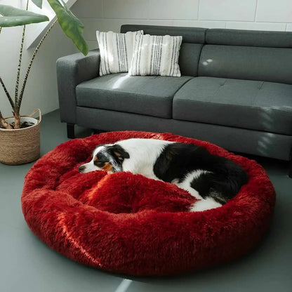 Pet Is Family Lit à Soutien Orthopédique