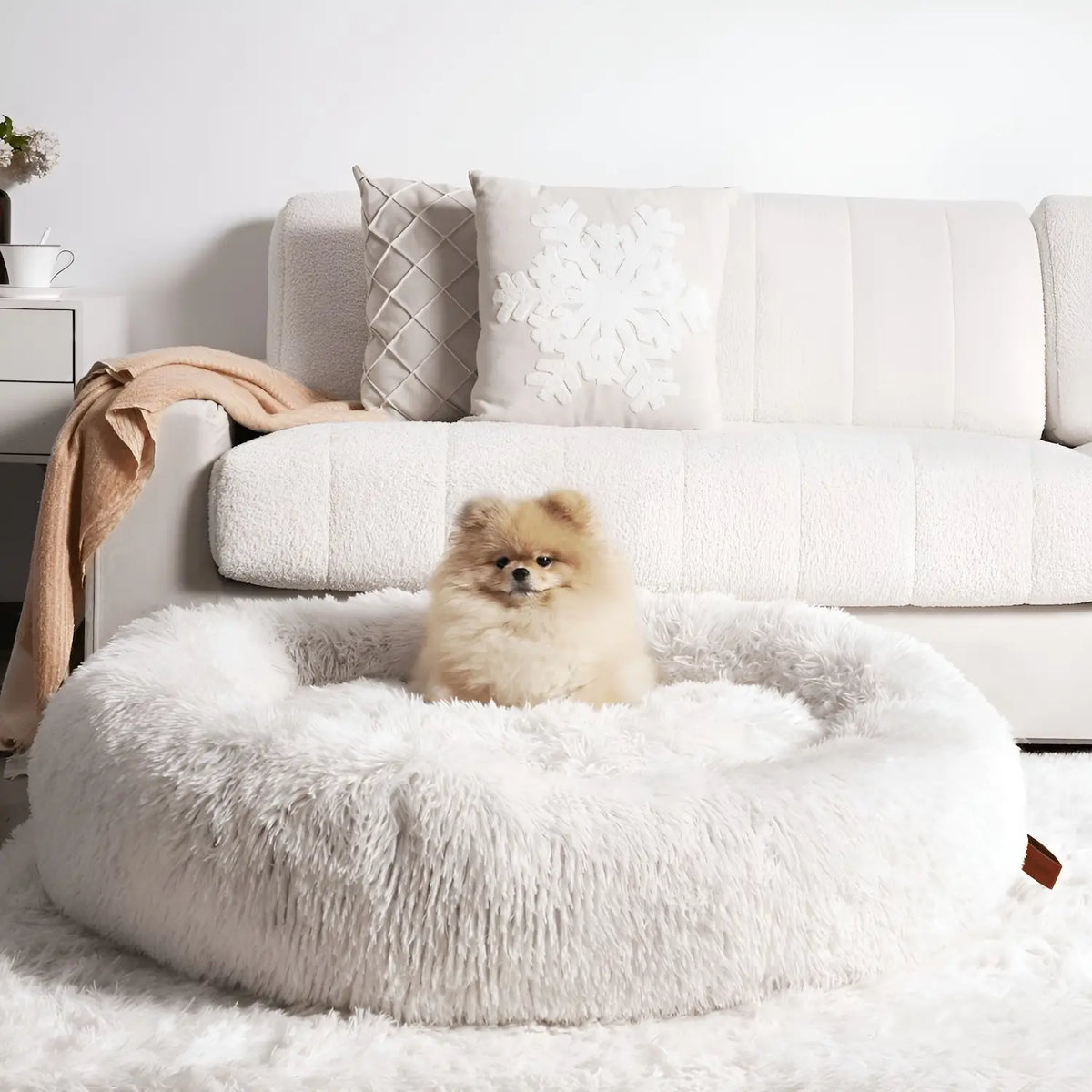 Pet Is Family Lit à Soutien Orthopédique