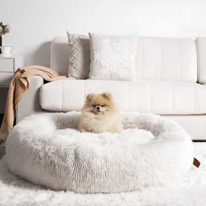 Pet Is Family Lit à Soutien Orthopédique