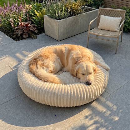 Pet Is Family Coussin de Confort