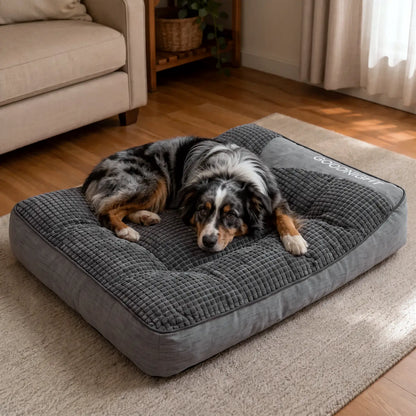 Pet Is Family Coussin Orthopédique Apaisant