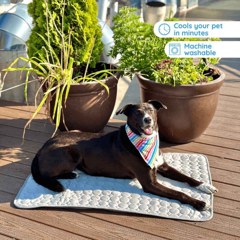 Pet Is Family Tapis Rafraîchissant