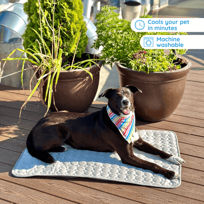 Pet Is Family Tapis Rafraîchissant