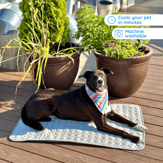 Pet Is Family Tapis Rafraîchissant