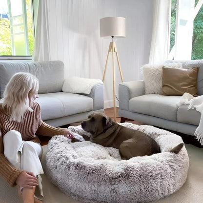 Pet Is Family Lit à Soutien Orthopédique