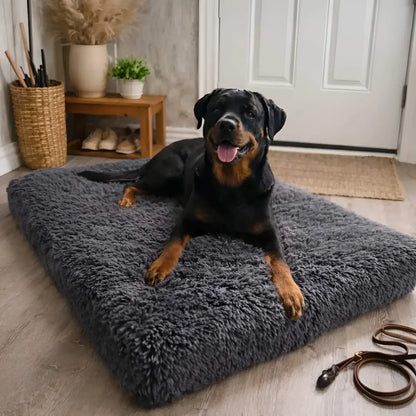 Pet Is Family Coussin Orthopédique