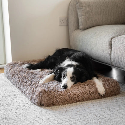 Pet Is Family Coussin Orthopédique