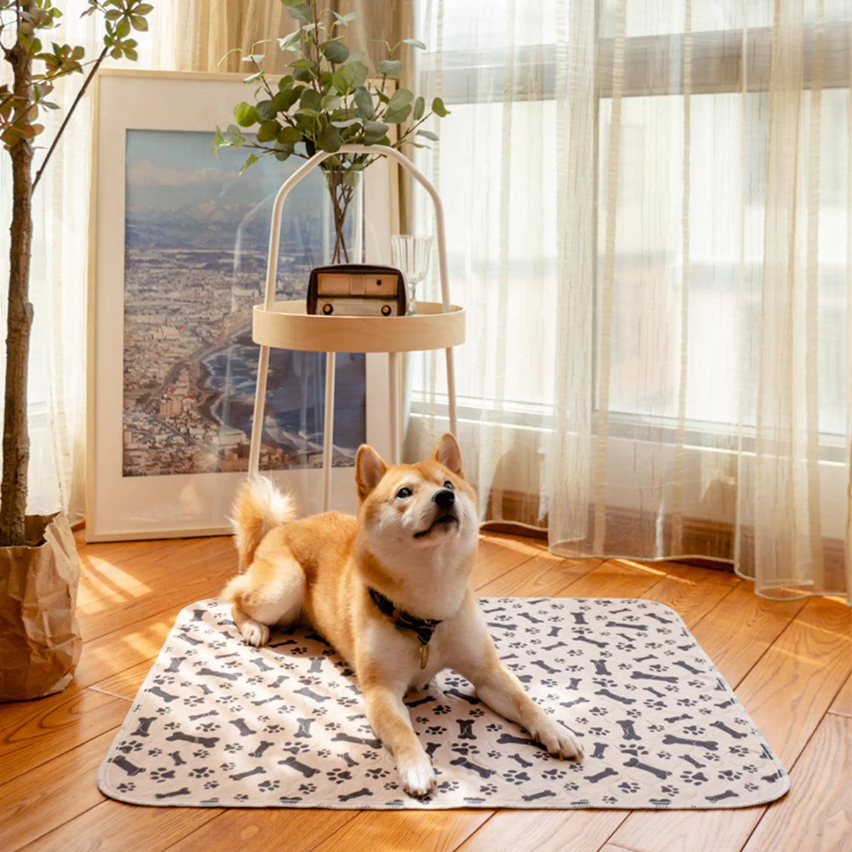 Pet Is Family Potty Pad engels