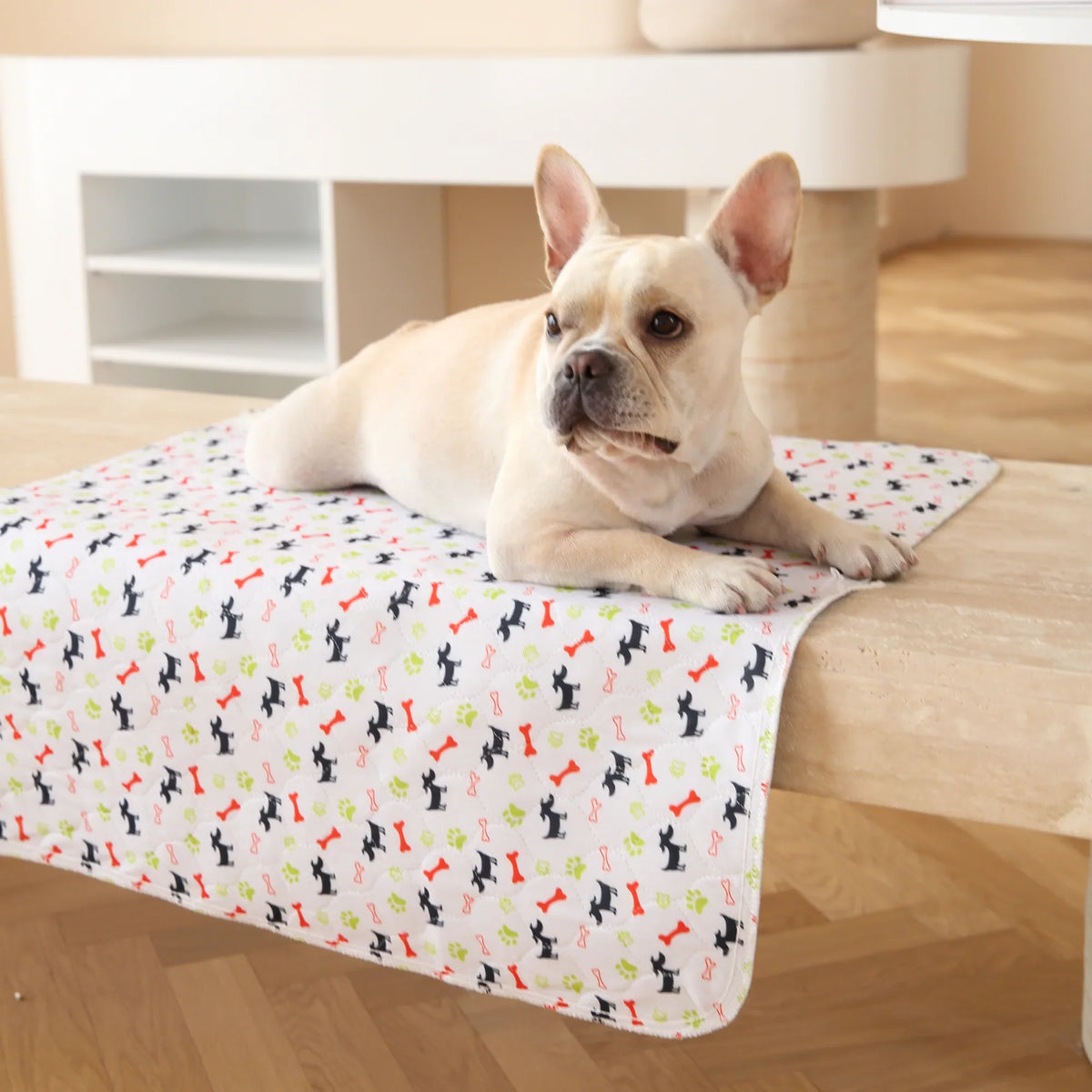Pet Is Family Potty Pad engels