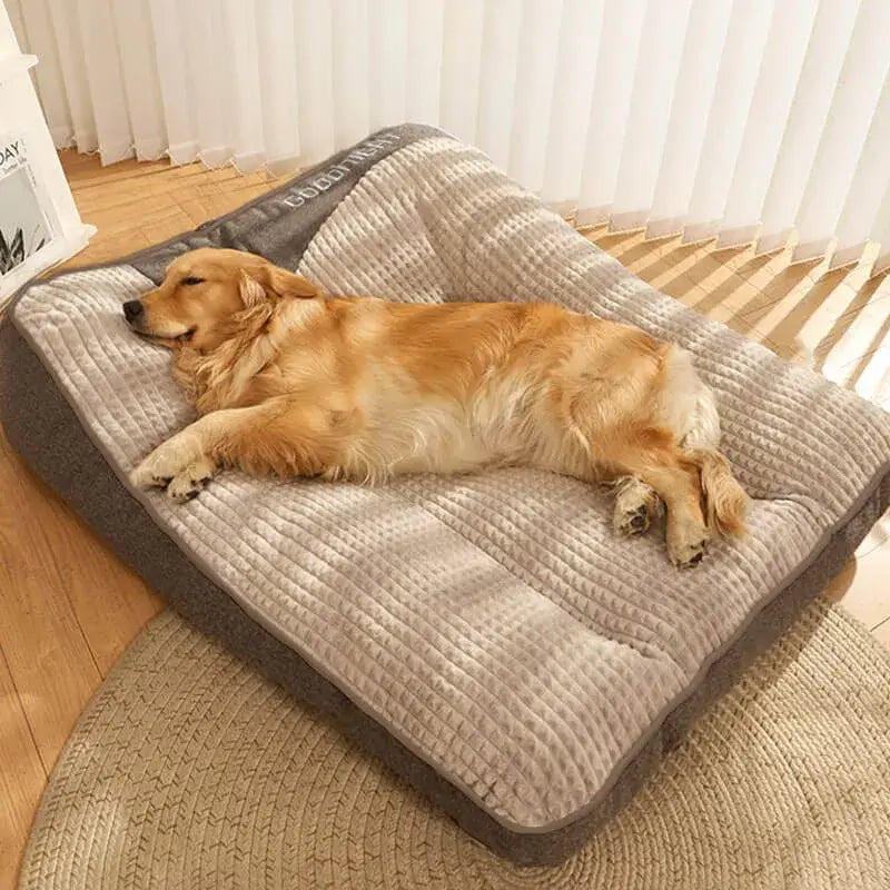 Pet Is Family Coussin Orthopédique Apaisant