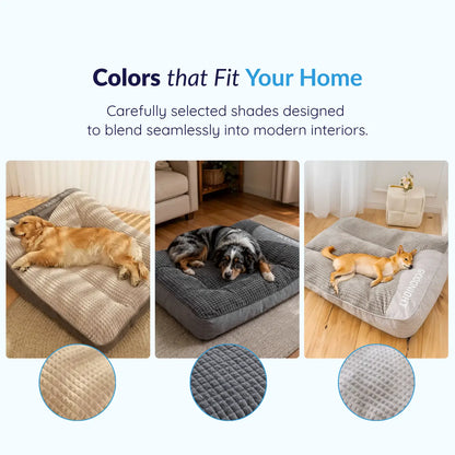 Pet Is Family Coussin Orthopédique Apaisant