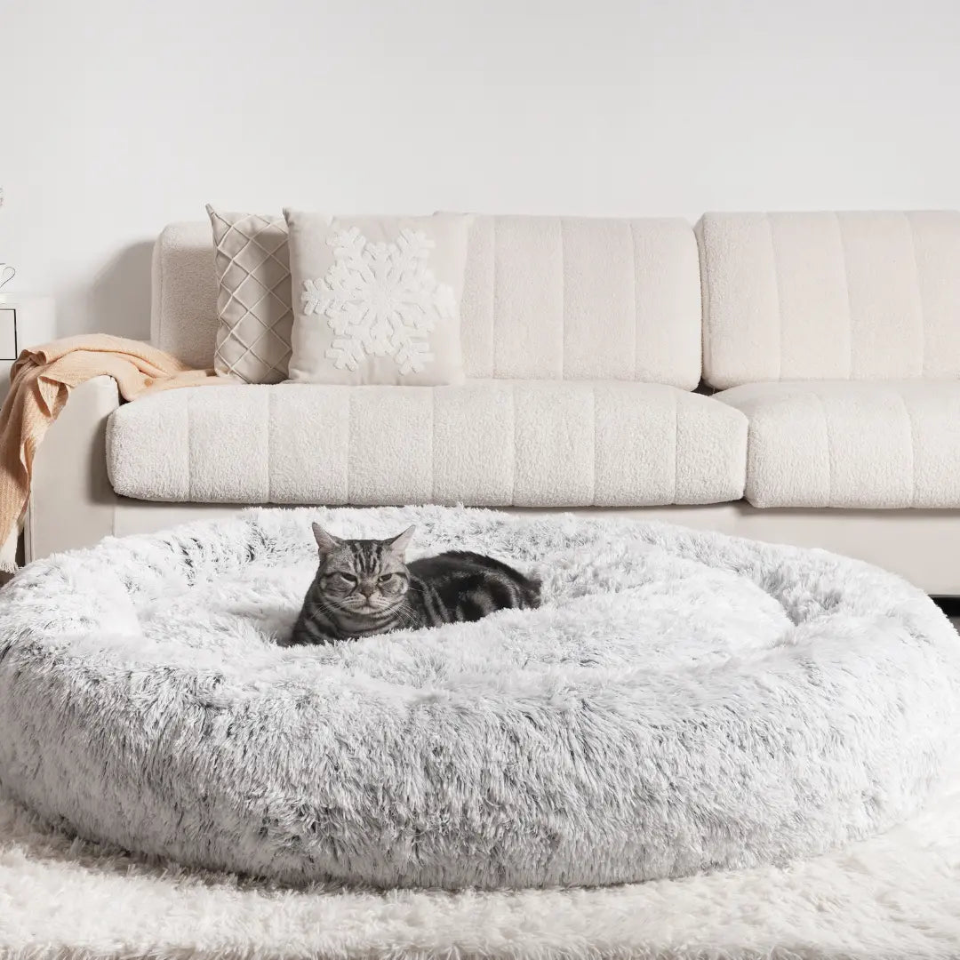 Pet Is Family Lit Orthopédique Chat