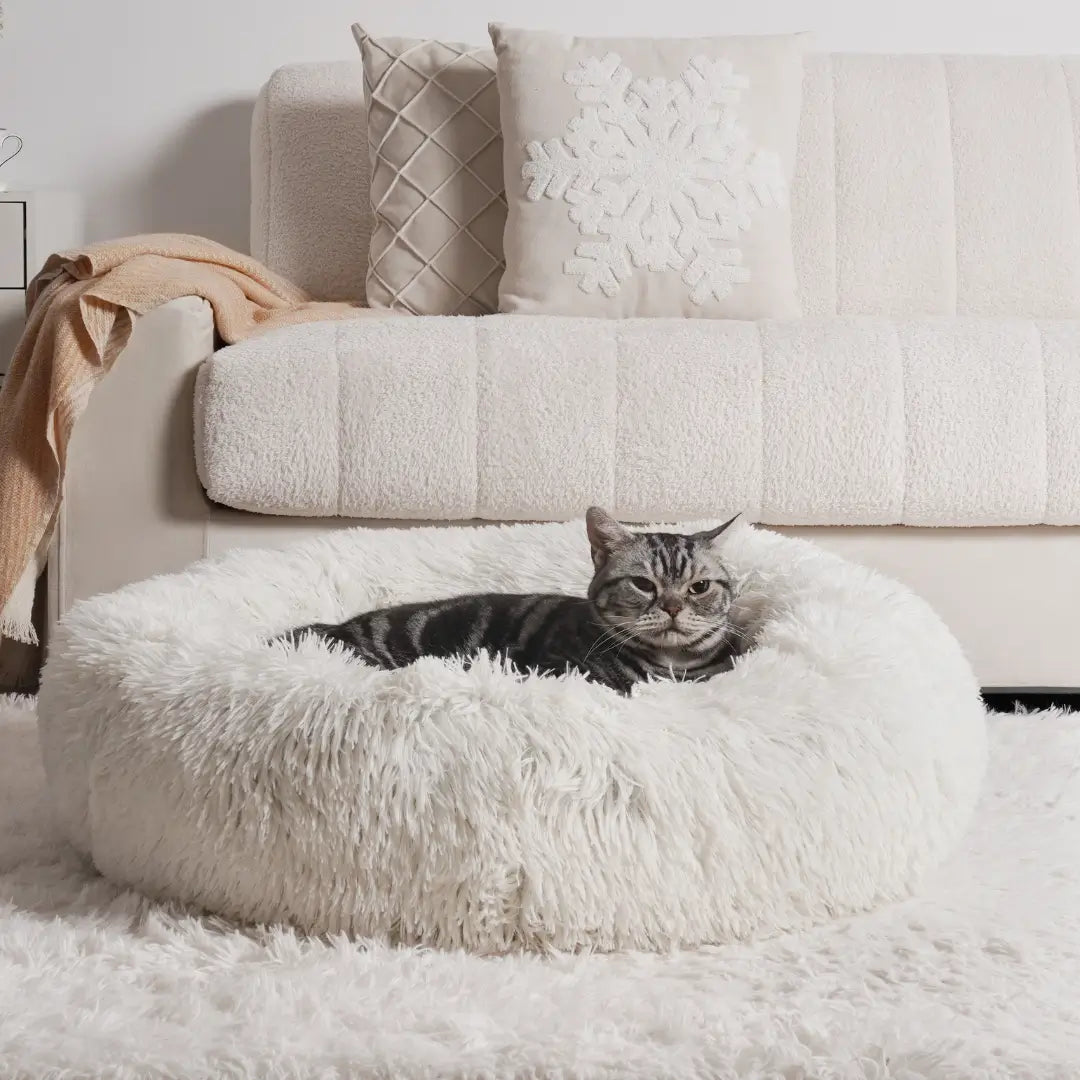 Pet Is Family Lit Orthopédique Chat