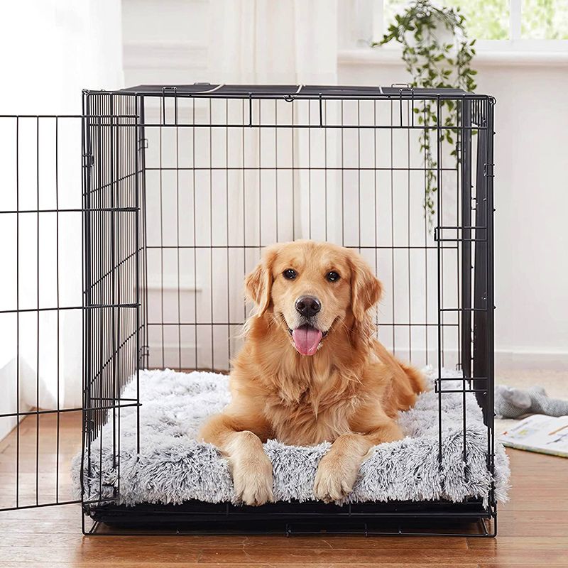 Pet Is Family Coussin Orthopédique