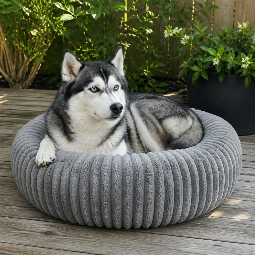 Pet Is Family Coussin de Confort