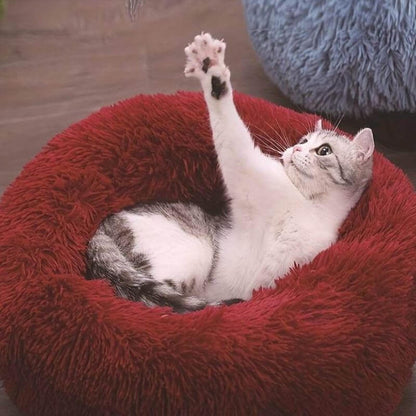 Pet Is Family Lit Orthopédique Chat